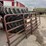 cattle-gates-image-1