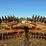 case-ih-25-image-4