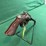 hi-standard-mdl.r-101-sentinel-22cal-revolver-image-3