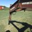 1995-homemade-20-image-19