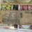 #40308-•-foreign-currency-bank-notes-image-166