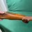 ruger-no.1-22-250-rem-rifle-image-13