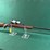kimber-mdl.82-22-wmr-rifle-image-3
