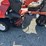 jacobsen-tri-king-1900d-image-10