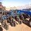 new-holland-p2080-image-10