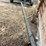 case-ih-head-cart-image-2