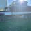 1979-ih-f1954-diesel-grain-truck,-tandem-axle-screw-w/power-divider,-dt466-engine,-131,708-miles,-21’-steel-grain-box,-roll-tarp,-battery-disconnect,-5-speed-manual-with-4-speed-aux-transmission-image-1