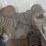 #40133-•-(300)-wheat-pennies-image-18