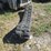 takeuchi-tl26-2-image-5