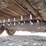 2020-towmaster-t-14dt-image-6