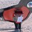 #3109-•-new-steel-coyote-shooting-target-image-3