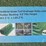 qty.-(3)-artificial-grass-turf-rolls-image-2