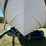 1998-cobalt-200-ski-boat-w/-trailer-(inop)-(no-motor)-image-10