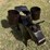 #178-•-metal-art---donkey-w/3-flower-pot-holders-image-2
