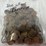 #40133-•-(300)-wheat-pennies-image-3