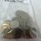 #40147-•-(50)-1970s-dollar-coins-image-10