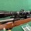 winchester-mdl.70-243-win-rifle-image-6