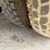 2010-international-transtar-8600-image-22