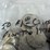#40135-•-(50)-1970s-dollar-coins-image-8