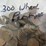 #40133-•-(300)-wheat-pennies-image-7