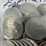 #40148-•-(50)-1970s-bicentennial-dollar-coins-image-7