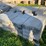 #3188-•-(2)-pallets-of-decorate-concrete-landscape-pavers-image-12