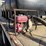 ford-f700-image-19