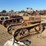caterpillar-22-image-1
