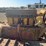 caterpillar-thirty-image-15