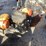 #1858-•-(4)-gas-powered-lawn-tools-image-8