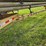 butler-pole-trailer-image-37