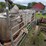 #4065-•-heavy-duty-pipe-gate-image-2