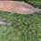 #4029-•-bucket-extensions-image-4