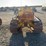 caterpillar-d2-image-5