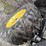 2012-john-deere-gator-rsx-850i-sport-image-20