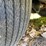 #500-•-1941-buick-special-(wi-title-in-delay)-(cornell,-wi)-image-21