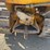 caterpillar-r2-image-43