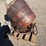 cement-mixer-image-2