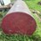 #4026-•-100-gallon-tank-image-2