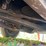 #500-•-1941-buick-special-(wi-title-in-delay)-(cornell,-wi)-image-59