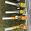boomers-image-3