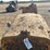 caterpillar-fifteen-image-9