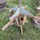#4033-•-tire-changer-image-2