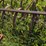 international-401-image-5