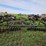 #2129-•-john-deere-disc-image-4