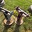 #4035-•-small-adjustable-roller-stands-image-1