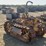 caterpillar-fifteen-image-4