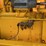 caterpillar-seventy-gas---complete-nut-and-bolt-restoration!-image-20