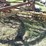 new-holland-256-image-9