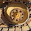 #1029-16-•-lot-1029-16-image-14